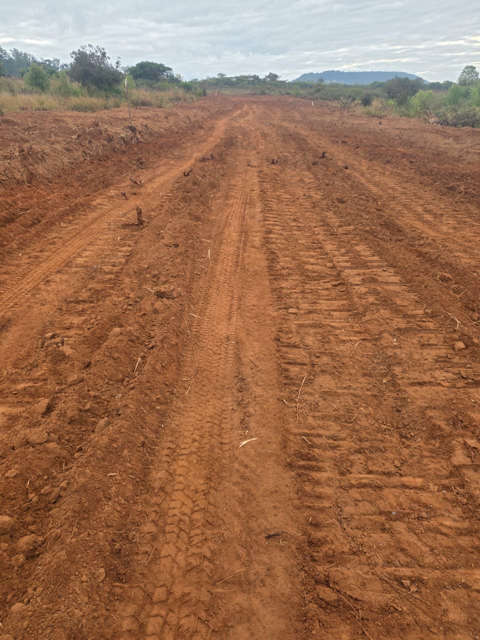 Development work at The Nest of Chipinge site